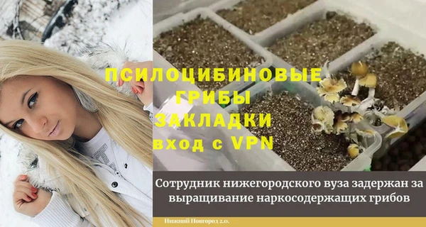 прущий лед Няндома