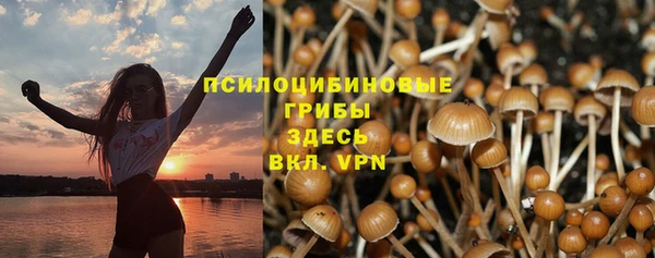 хмурый Нягань