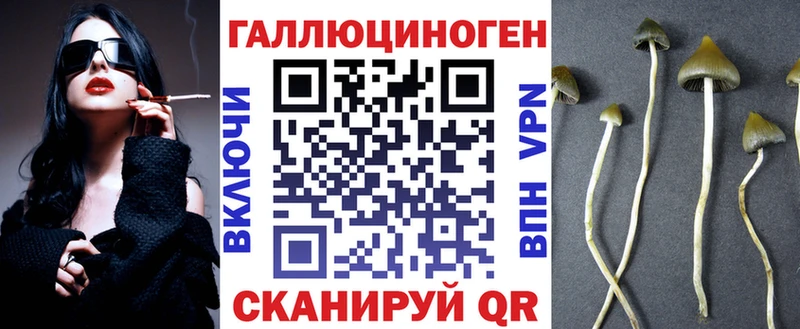 как найти закладки  Ковдор  Псилоцибиновые грибы мицелий 